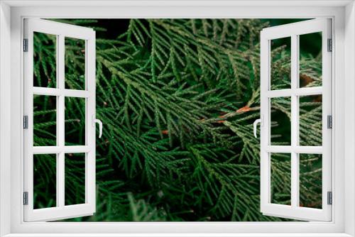 Fototapeta Naklejka Na Ścianę Okno 3D - Christmas and New Year simple background with fir branches with copy space.
