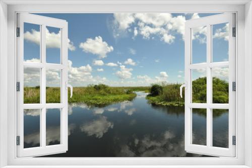 Fototapeta Naklejka Na Ścianę Okno 3D - Everglades