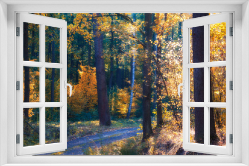 Fototapeta Naklejka Na Ścianę Okno 3D - Autumn forest scene, trees, sunset