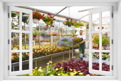 Fototapeta Naklejka Na Ścianę Okno 3D - Gärtnerei im Blumenhandel - Blumen im Gewächshaus // happy worker growing flowers in a greenhouse of a flower shop