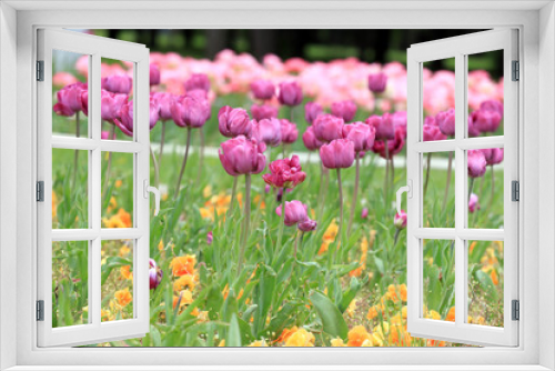 Fototapeta Naklejka Na Ścianę Okno 3D - Colorful ornamental tulips. Tulips pattern, floral background.