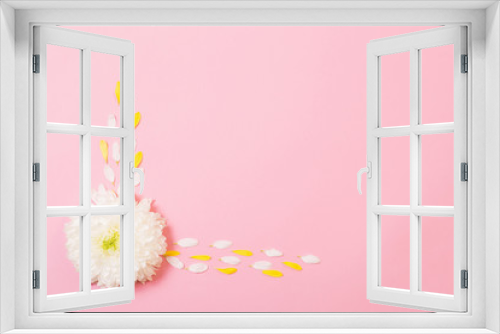 Fototapeta Naklejka Na Ścianę Okno 3D - white and yellow chrysanthemum on pink  paper background