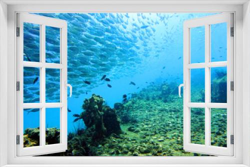 Fototapeta Naklejka Na Ścianę Okno 3D - diving, coral reef, school of fish underwater
