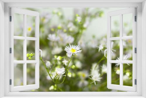 Fototapeta Naklejka Na Ścianę Okno 3D - Bouquet of wild flowers on a white background