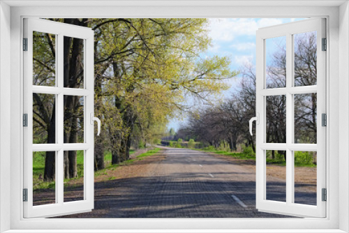 Fototapeta Naklejka Na Ścianę Okno 3D - Astonishing rural landscape of empty asphalt road with trees in spring sunny day. Blue sky with white clouds in the background. Concept of landscape and nature. Ukraine