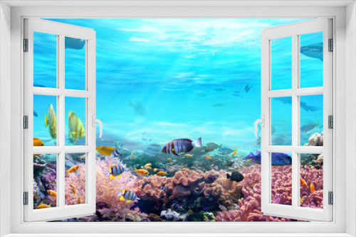 Fototapeta Naklejka Na Ścianę Okno 3D - Animals of the underwater sea world. Life in a coral reef. Colorful tropical fish. Hunting shark. Ecosystem.