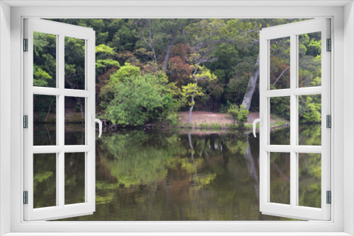 Fototapeta Naklejka Na Ścianę Okno 3D - 鏡のような水面に、池の周りの若葉が綺麗に映り込んでいる風景