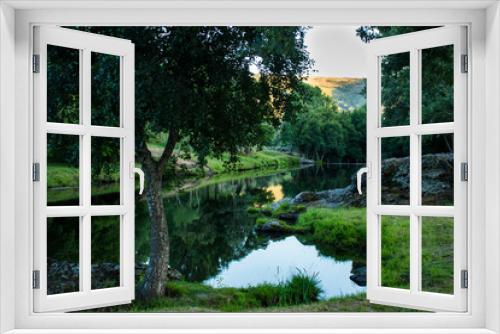 Fototapeta Naklejka Na Ścianę Okno 3D - Verde pradera reflajándose en el rio