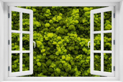 Fototapeta Naklejka Na Ścianę Okno 3D - Moss wall, green wall decoration made of natural moss.