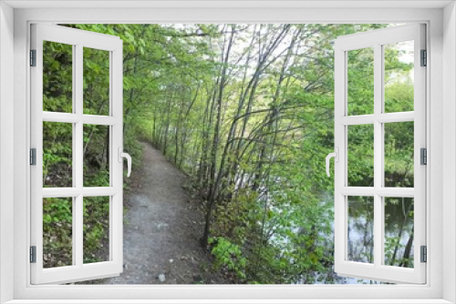 Fototapeta Naklejka Na Ścianę Okno 3D - A forest path near the river - Lysaker 