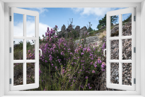 Fototapeta Naklejka Na Ścianę Okno 3D - flowers at peneda geres national park viana do castelo braga