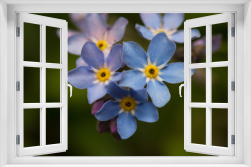 Fototapeta Naklejka Na Ścianę Okno 3D - Spring flowers. Floral background