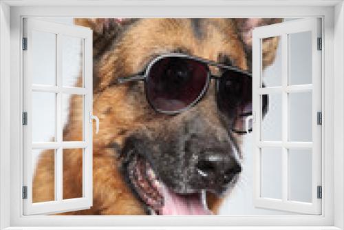 Fototapeta Naklejka Na Ścianę Okno 3D - German shepherd in sunglasses. Funny portrait