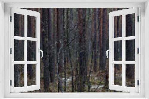Fototapeta Naklejka Na Ścianę Okno 3D - Swampland in sacred forest.