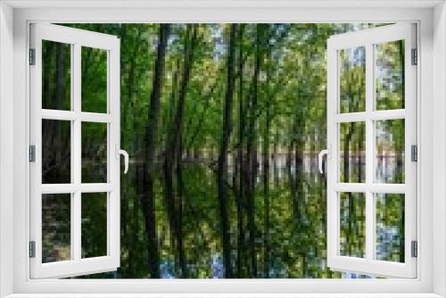 Fototapeta Naklejka Na Ścianę Okno 3D - Forest reflections
