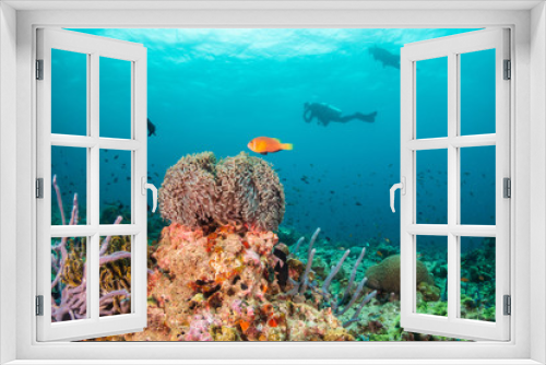Fototapeta Naklejka Na Ścianę Okno 3D - Colorful underwater scene of fish and coral with scuba divers swimming in the background