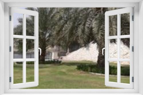 Fototapeta Naklejka Na Ścianę Okno 3D - parlm tree , sharja 