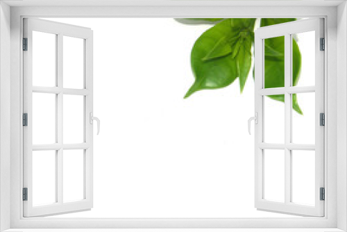 Fototapeta Naklejka Na Ścianę Okno 3D - coeur de plante