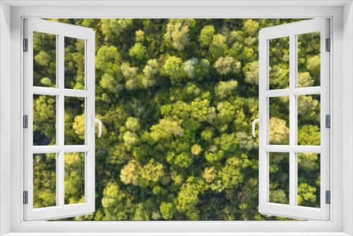 Fototapeta Naklejka Na Ścianę Okno 3D - Aerial drone photo looking down on magical summer forest. Nature background. Landscape photography