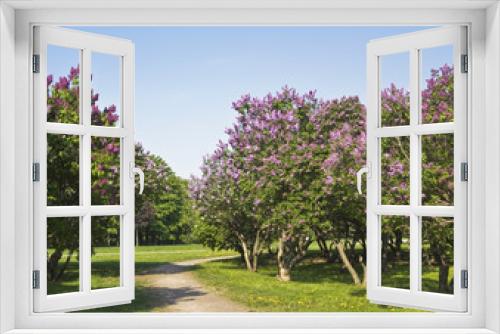 Fototapeta Naklejka Na Ścianę Okno 3D - Lilac garden