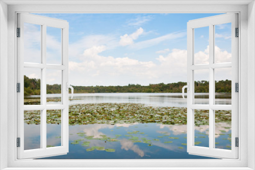 Fototapeta Naklejka Na Ścianę Okno 3D - Water lilies and reflections on a Dutch lake