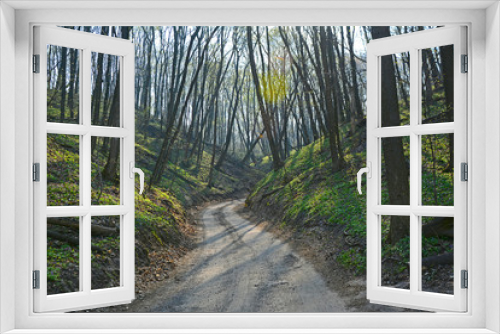 Fototapeta Naklejka Na Ścianę Okno 3D - View of a winding road in a forest among green hills in spring.