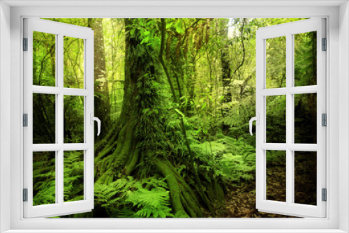 Fototapeta Naklejka Na Ścianę Okno 3D - Tree trunk and green leaves in tropical jungle forest