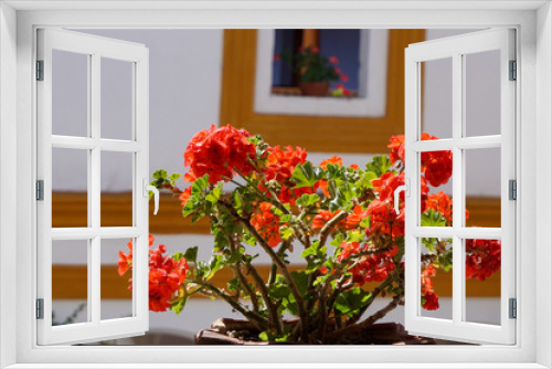 Fototapeta Naklejka Na Ścianę Okno 3D - red flowers in a window
