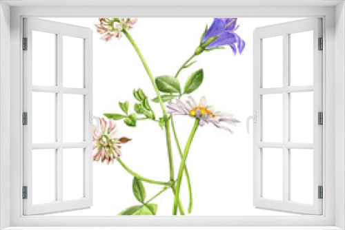 Fototapeta Naklejka Na Ścianę Okno 3D - watercolor drawing wild flowers