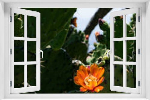 Fototapeta Naklejka Na Ścianę Okno 3D - sierra y su flora