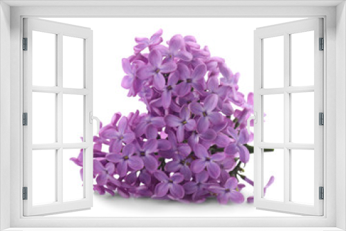 Fototapeta Naklejka Na Ścianę Okno 3D - Beautiful violet lilac blossom isolated on white
