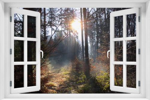Fototapeta Naklejka Na Ścianę Okno 3D - neblig im Wald