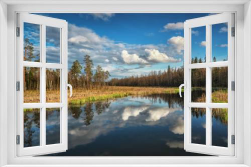 Fototapeta Naklejka Na Ścianę Okno 3D - Russian spring landscape with reflections of trees in the lake