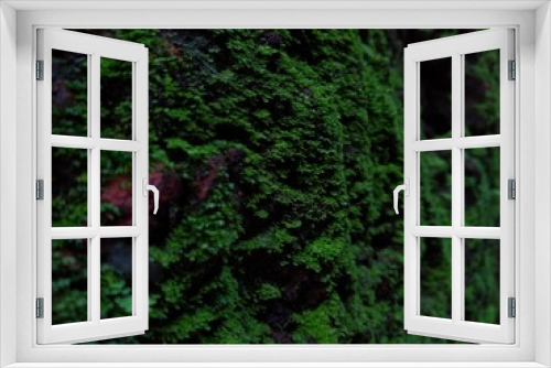 Fototapeta Naklejka Na Ścianę Okno 3D - abstract green background