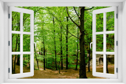 Fototapeta Naklejka Na Ścianę Okno 3D - Photo of beautiful green forests. Spruces and trail in the forest. Summer mountain background. Park near the rocks in the forest