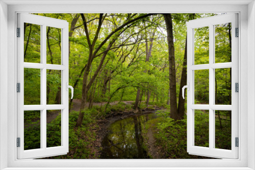 Fototapeta Naklejka Na Ścianę Okno 3D - Forest scene in the early spring 