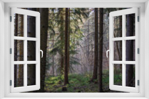 Fototapeta Naklejka Na Ścianę Okno 3D - Landschaft im Frühling