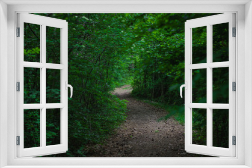 Fototapeta Naklejka Na Ścianę Okno 3D - Mysterious path In the forest 