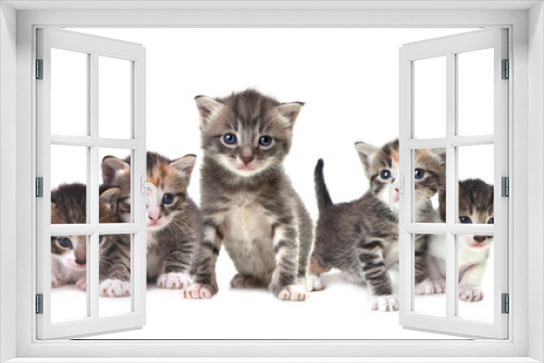 Fototapeta Naklejka Na Ścianę Okno 3D - Cute Newborn Baby Kittens Easily Isolated on White
