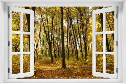 Fototapeta Naklejka Na Ścianę Okno 3D - Yellow autumn park.