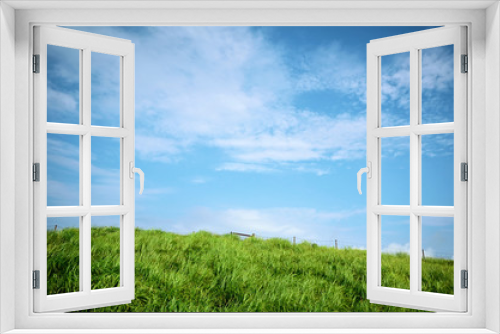 Fototapeta Naklejka Na Ścianę Okno 3D - 緑の丘と青空