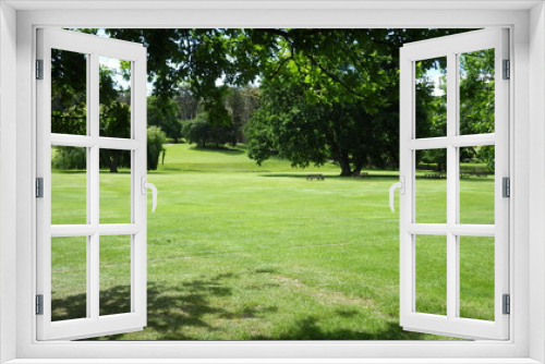 Fototapeta Naklejka Na Ścianę Okno 3D - Landscape of Port Arthur, Tasmania, Australia