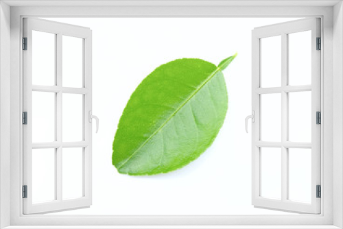 Fototapeta Naklejka Na Ścianę Okno 3D - green lime leaf isolated on white