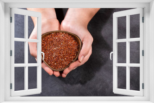 Fototapeta Naklejka Na Ścianę Okno 3D - Chenopodium quinoa - Female hands holding red quinoa seeds