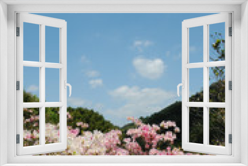 Fototapeta Naklejka Na Ścianę Okno 3D - 山里に咲く満開のツツジ