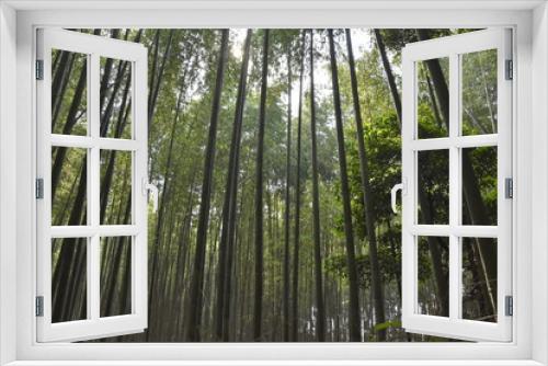 Fototapeta Naklejka Na Ścianę Okno 3D - あたり一面竹林に囲まれてヒーリング　嵐山（京都）