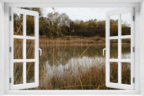 Fototapeta Naklejka Na Ścianę Okno 3D - River landscape, beautiful water mirror.Beautiful autumn nature landscape.Sunny autumn scene with trees with orange and red leaves reflecting on water surface.Calm lake or pond in old park.