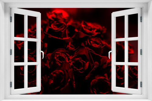 Rosas rojas en un fondo oscuro
