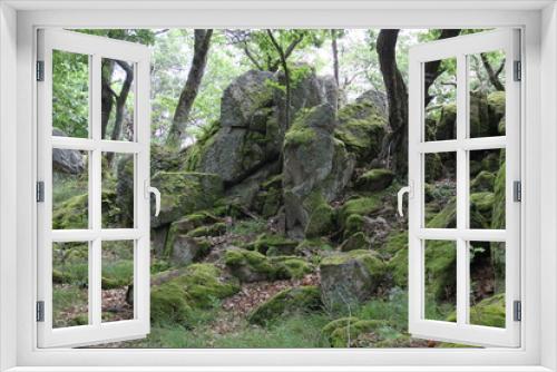 Fototapeta Naklejka Na Ścianę Okno 3D - Mystical forest rocks boulders roots 