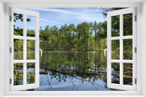Fototapeta Naklejka Na Ścianę Okno 3D - lake in the forest